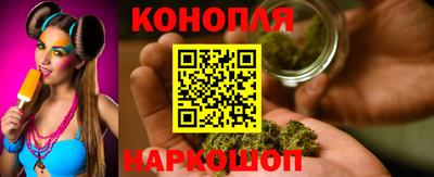 гидра Кандалакша