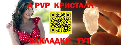 дмт Камышлов