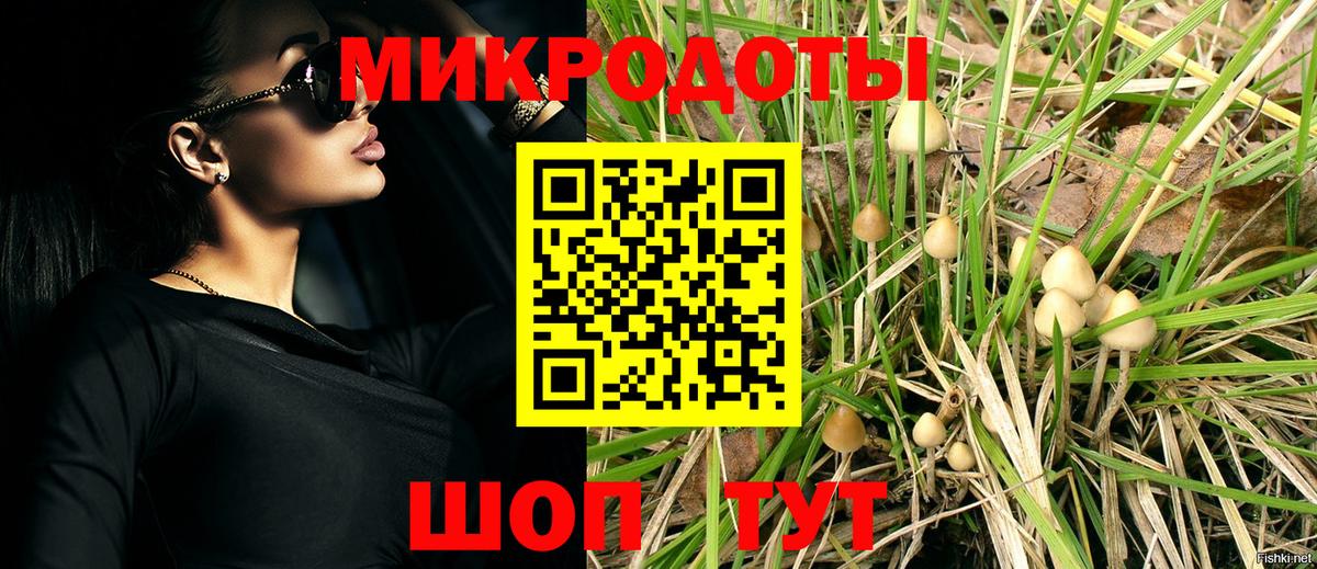 Галлюциногенные грибы ЛСД Кушва