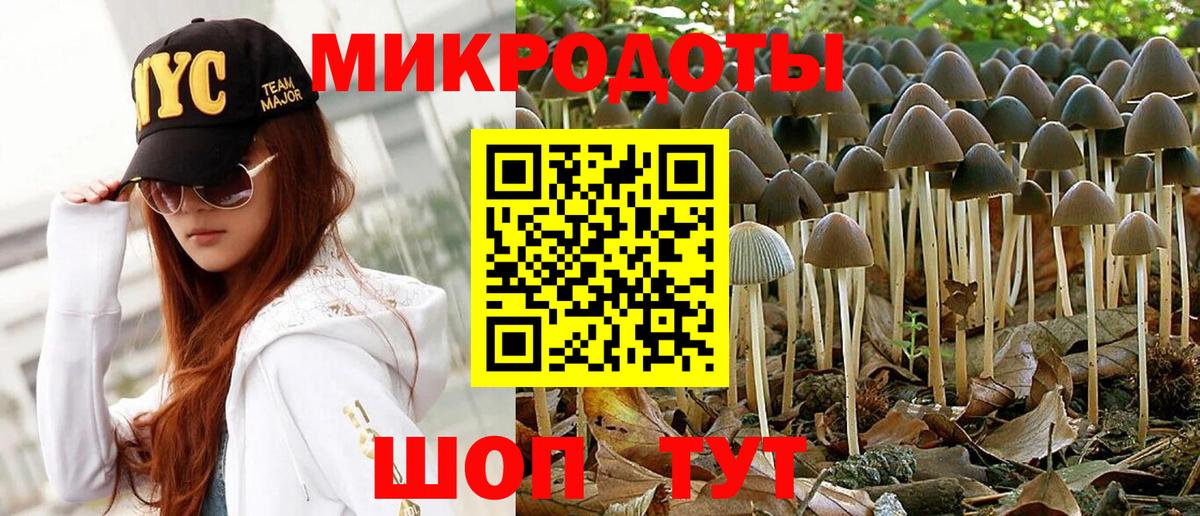 Псилоцибиновые грибы Psilocybine cubensis  Галлюциногенные грибы прущие грибы  Вход с VPN  Кушва 